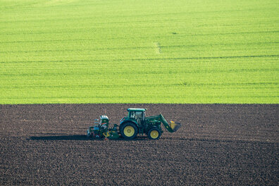 Studie: Bauern setzen zu sehr auf Massenware - 