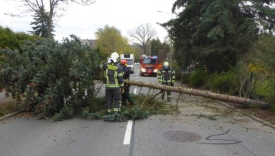 Stürmischer Tag in Westsachsen: Retter räumen Baum von der B 175 - 