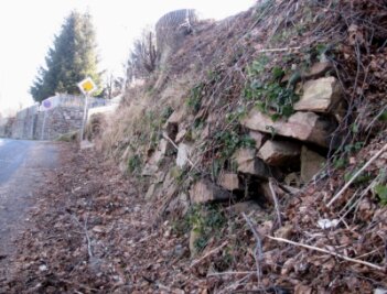 Stützwand kaputt - Die Stützmauer am Burgberg in Geringswalde wurde durch den Druck der Wurzeln zerstört.