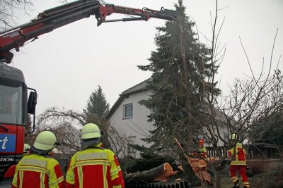 Sturm-Bilanz aus Mittelsachsen: Tausende ohne Strom - Die Freiwillige Feuerwehr Saidenbach musste einen Baum auf einem Privatgrundstück in Mittelsaida beseitigen. Zuvor war bereits ein anderer Baum auf das Dach des Hauses gefallen. 