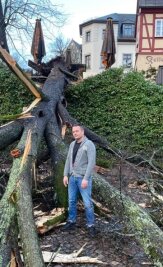 Sturm bringt erneut  Baum am Schloßberg zu Fall - "Kellerhaus"-Gastronom Tobias Gust neben dem Baum, den der Sturm in der Nacht umgeweht hatte. 
