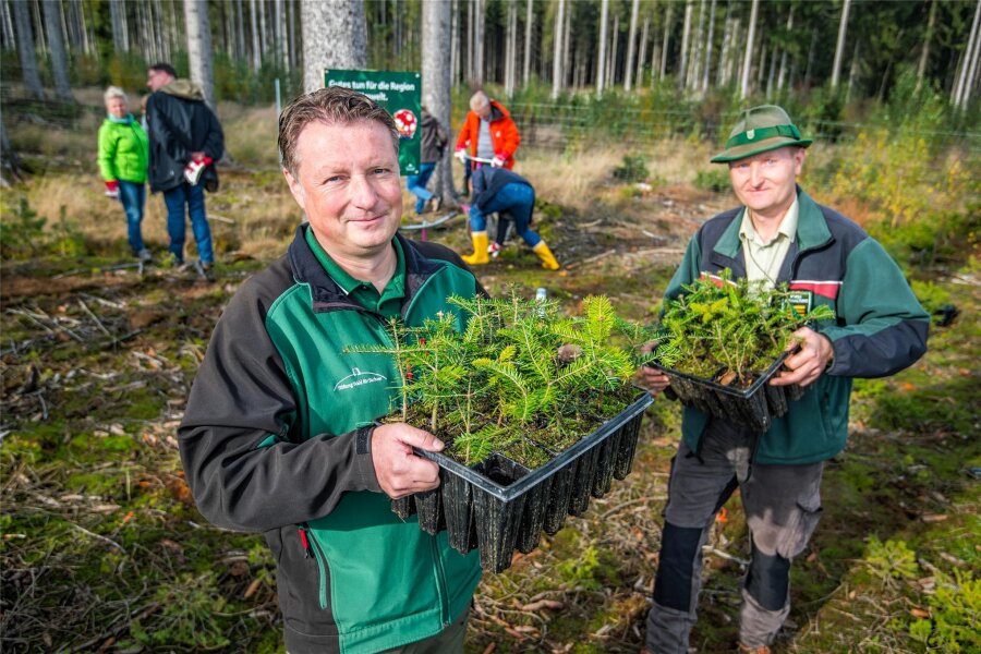 Sturm„Fabienne“ und Klimawandel: 1500 Bäume werden in Brünlos gepflanzt - Henrik Lindner (links) von der Stiftung „Wald für Sachsen“ und Revierförster Michael Melzer mit den Weißtannen.