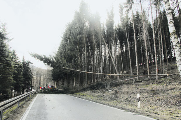 Sturm fällt Bäume in Erdmannsdorf - Bäume stürzten am Donnerstag auf die B180 in Erdmanndorf.
