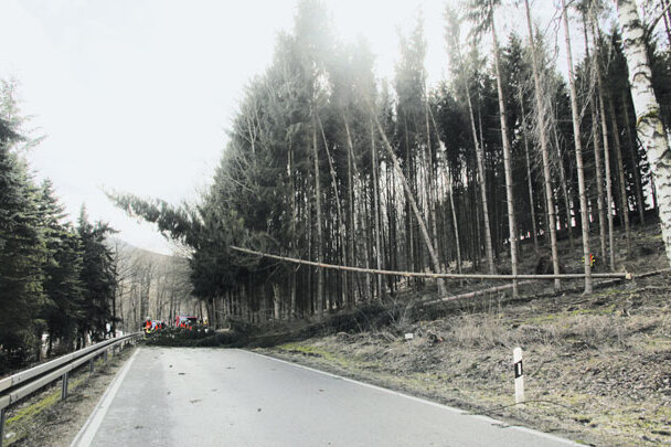 Bäume stürzten am Donnerstag auf die B180 in Erdmanndorf.