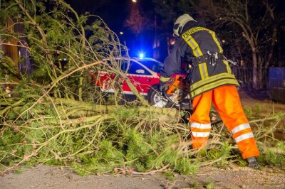 Sturm im Erzgebirge: Feuerwehr wegen umgestürzter Bäume im Einsatz - 