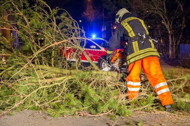 Sturm im Erzgebirge: Feuerwehr wegen umgestürzter Bäume im Einsatz - 