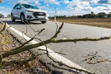 Sturm knickt Äste und Bäume - Der Sturm brach Äste an der Staatsstraße 221 zwischen Marienberg und Großrückerswalde. 