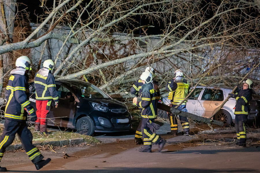 Sturm "Sabine" im Vogtland: Umgestürzte Bäume, Bahn-Stopp und Stromausfall - Am Feldschlösschen in Auerbach wurden vier geparkte Pkw durch einen Baum fast vollständig demoliert.