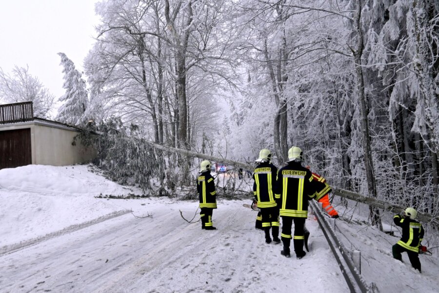 Am Samstag musste die Feuerwehr Neudorf/ Kretscham wegen Baumbruch ausrücken und die Karlsbader Straße sperren. 