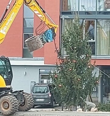 Sturmböe fegt Baum auf den Fußweg - Zum Glück ist niemand zu Schaden gekommen: Mit Hilfe eines Baggers wurde der umgestürzte Weihnachtsbaum wieder aufgestellt. 