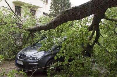 Sturmböen entwurzeln Bäume im Erzgebirge - Glück im Unglück: Der Fahrer dieses Wagens trug den Angaben zufolge keine Verletzungen davon, weil der Baum von einer Mauer abgebremst wurde.