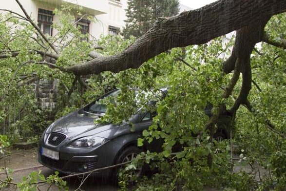 Sturmböen entwurzeln Bäume im Erzgebirge - Glück im Unglück: Der Fahrer dieses Wagens trug den Angaben zufolge keine Verletzungen davon, weil der Baum von einer Mauer abgebremst wurde.
