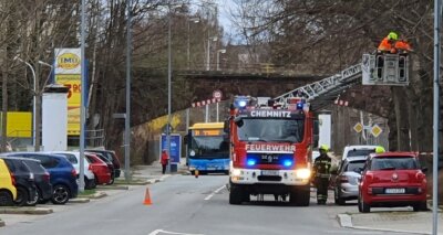 Sturmböen lassen Bäume knicken - Auf der Paul-Jäkel-Straße in Altendorf war die Feuerwehr gegen 14.30 Uhr wegen umgestürzter Bäume im Einsatz. 