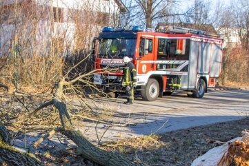 Sturmböen sorgen am Wochenende für Einsätze - In Zwönitz musste die Feuerwehr am Samstag einen umgestürzten Baum beseitigen. 