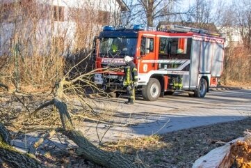 Sturmböen sorgen am Wochenende für Einsätze - In Zwönitz musste die Feuerwehr am Samstag einen umgestürzten Baum beseitigen. 
