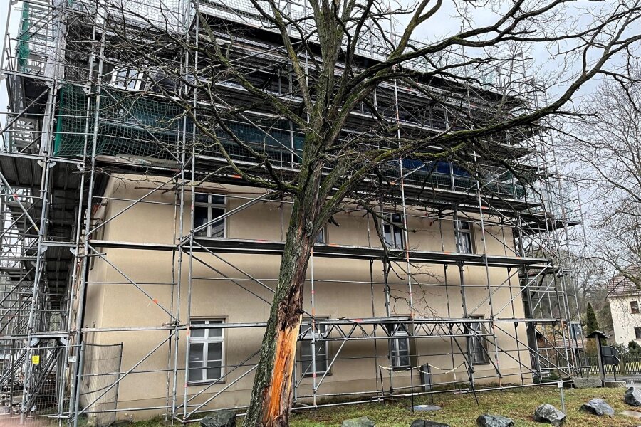 Sturmopfer: Gemeinde Bösenbrunn lässt Bäume fällen - Die Robinie am Rittergut Bösenbrunn wurde 2023 bei einem Sturm schwer beschädigt. Sie soll gefällt werden.