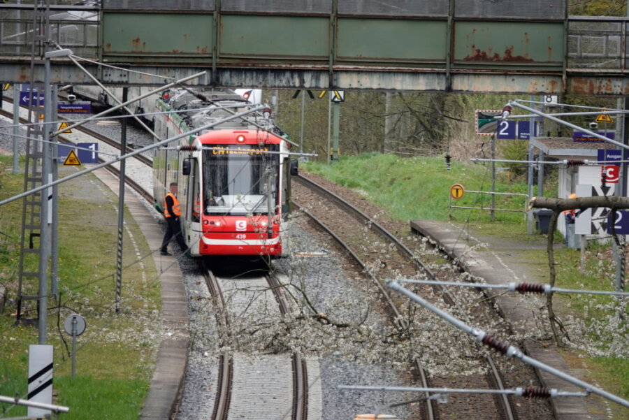 Sturmtief "Egon" zieht über die Region - Bahnverkehr zwischen Chemnitz und Mittweida unterbrochen - Am Chemnitzer Bahnhof Kinderwaltstätte war ein Baum auf die Gleise gestürzt.