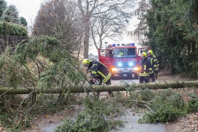 Sturmtief Heini hinterlässt geringe Schäden - Im Erzgebirge waren zahlreiche Feuerwehren wegen umgestürzter Bäume im Einsatz.