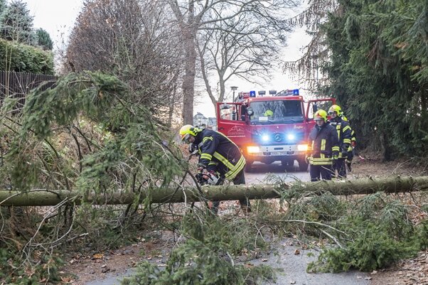 Sturmtief Heini hinterlässt geringe Schäden - Im Erzgebirge waren zahlreiche Feuerwehren wegen umgestürzter Bäume im Einsatz.