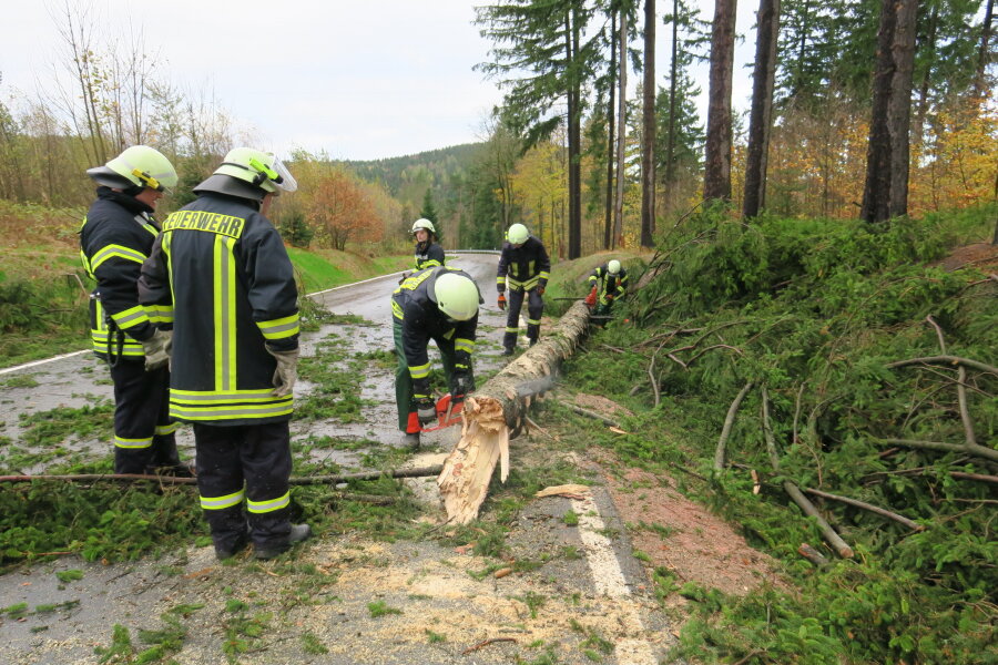Sturmtief "Herwart" verursacht auch Schäden in der Region - Umgestürzte Bäume auf der Fahrbahn in Eibenstock