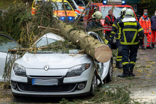 Sturmtief über dem Vogtland: Fichte kracht auf fahrendes Auto - Person verletzt - Die Fichte ist zersägt, die Bergung wird fortgesetzt.