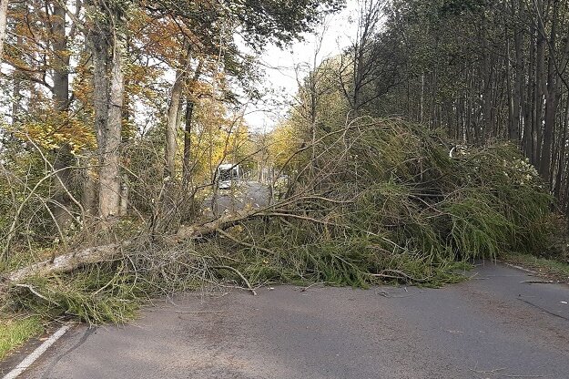 Sturmtief über Mittelsachsen: Umgestürzte Bäume blockieren Straßen, - Auf der B 101 lag am Donnerstagvormittag ein Baum zwischen Freiberg und Brand-Erbisdorf. 