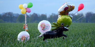Suche nach Arian jetzt mit Lichtkegeln und Kinderliedern - Ballons und Süßigkeiten stehen auf einem Feld bei Bremervörde. Von einem vermissten sechs Jahre alten Jungen aus dem niedersächsischen Bremervörde fehlt noch immer jede Spur.