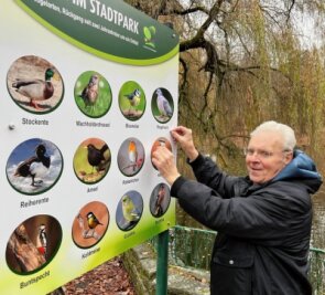 Tafeln im Stadtpark aufgestellt - Wolfgang Richter beim Anbringen der neuen Tafel zu heimischen Vögeln im Stadtpark. 