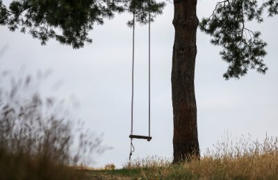 Tag der vermissten Kinder soll informieren und helfen - Eine leere Schaukel hängt an einem Baum.