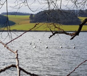 Talsperren Pöhl, Pirk und Falkenstein: Saison im Vogtland ist eröffnet - Idylle an der Talsperre Pirk. Wer sich ins noch recht kühle Gewässer traut, erlebt pure Natur. 