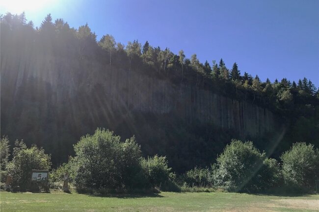 Tanzen unter freiem Himmel: Am Freitag startet das 19. Vollmondkamp in Scheibenberg - Für den Veranstalter Patrick Weigel ist der Sommerlagerplatz an den Orgelpfeifen eine der schönsten Kulissen für Musikveranstaltungen. Die spektakulären Orgelpfeifen werden während des Festivals auch beleuchtet. 