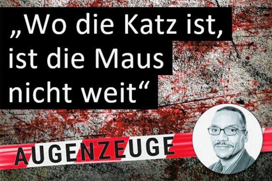 "Tatort"-Kolumne zu "Katz und Maus": Minichips und Neandertaler - 