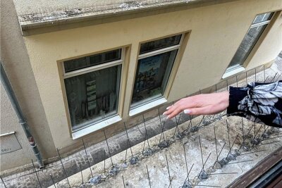 Taubenplage am Rathaus: So reagiert die Stadt Crimmitschau - Blick auf die Salzgasse: Mit diesen auf Leisten aufgebrachten Metallspitzen sollen die Stadttauben vom Rathaus ferngehalten werden. 