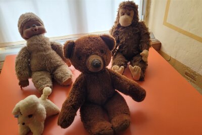 Teddybären und Wollkunst: Auf Burg Schönfels werden gleich zwei Ausstellungen eröffnet - Die ersten Plüschfiguren haben bereits ihre schützenden Kisten bereits verlassen. Ab Sonntag ist die Ausstellung dann für Besucher geöffnet.