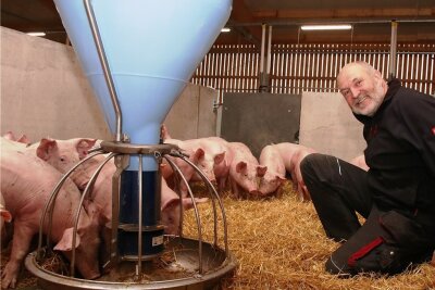 Theumaer Agrarbetrieb überzeugt Jury mit Gesamtkonzept - Udo Weymann und sein Team von der Agrargenossenschaft Theuma-Neuensalz setzen auf viel Tierwohl, haben unter anderem in einen neuen Schweinestall investiert.