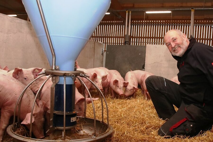 Theumaer Agrarbetrieb überzeugt Jury mit Gesamtkonzept - Udo Weymann und sein Team von der Agrargenossenschaft Theuma-Neuensalz setzen auf viel Tierwohl, haben unter anderem in einen neuen Schweinestall investiert.