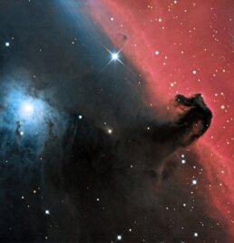 Tief in den Himmel gezoomt: Wo die Sterne echte Stars sind - Der Pferdekopfnebel im Sternbild des Orion erhielt den Namen nach dem Aussehen. 