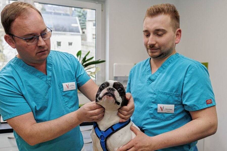 Tierärzte können bald schneller helfen - Die Tierärzte Dr. Stanley Geisler (l.) und Marcus Hoppe sind die Inhaber des Zentrums für Kleintiermedizin. Hier untersuchen sie die Französische Bulldogge Snoopy. 