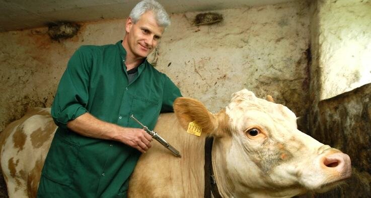 Tierärzte zücken die Impfpistolen - 
              <p class="artikelinhalt">Tierarzt Uwe Müller aus Treuen bei der Impfung der siebenjährigen Kuh Gerda im Stall von Dietmar Junghänel in Irfersgrün. In drei Wochen wird er das Tier ein zweites Mal impfen.</p>
            
