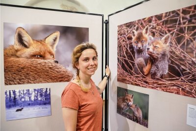 Tierfotografin aus Chemnitz: Mit Fünf-Kilo-Objektiv auf Fotojagd - Die tierisch guten Bilder von Anne Lindner waren auch schon im Wasserschloß Klaffenbach zu sehen. 