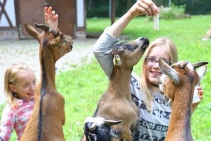 Tiergehege im Sahnpark droht das Aus - Leonie und ihre kleine Schwester Sue Ann fütterten im Sommer im Tiergehege im Sahnpark Ziegen.