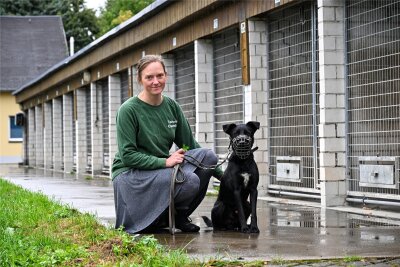 Tierheim Chemnitz in Not: OB Schulze denkt über Erhöhung der Hundesteuer nach - Tierärztin Anne Schilling mit Hund Nero. Im kommenden Jahr übernimmt Schilling die Leitung des Tierheims am Pfarrhübel.
