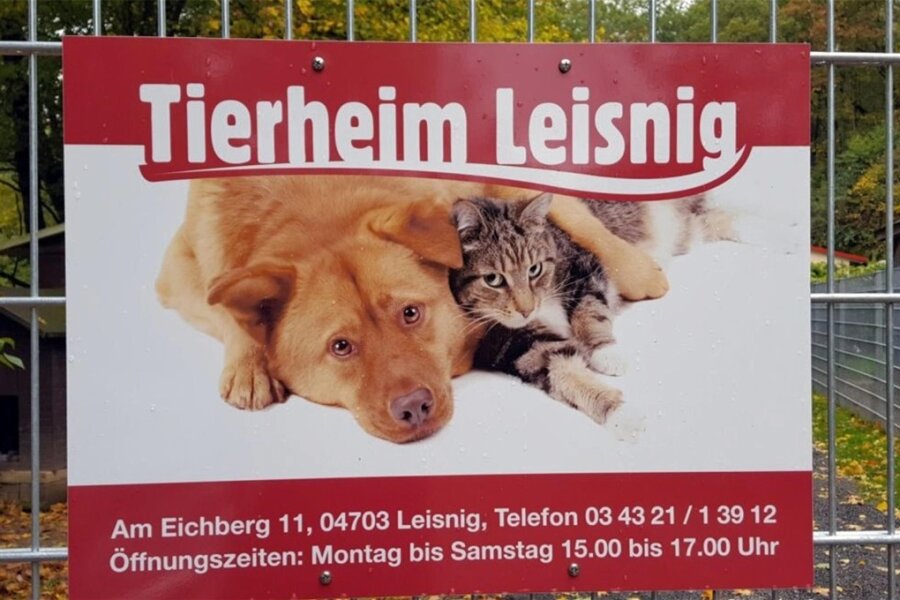 Tierheim kündigt Vertrag mit Stadt Geringswalde - Noch bis Jahresende besteht der Vertrag zwischen dem Verein "Tiernothilfe" Leisnig und Geringswalde.