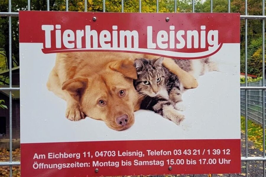 Tierheim Leisnig öffnet sich Besuchern - Das Tierheim in Leisnig, unter anderem Vertragspartner der Stadt Geringswalde, lädt zum Frühlingsfest ein. 