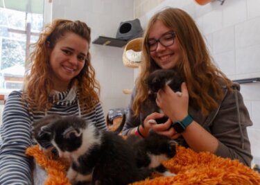 Tierheimfest will Einblicke in Arbeit geben - Lissi Burkhardt (l.) und Nathalie Wagner zeigen einige der Katzenkinder, die derzeit im Tierheim "Neu-Amerika" betreut werden. Am Samstag lädt die Einrichtung zum Tierheimfest ein. 