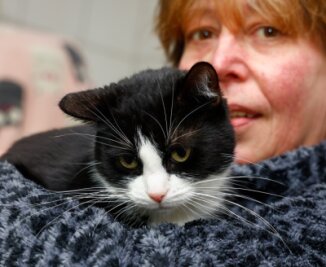 Tierheimmitarbeiter sorgen sich um einige Schützlinge besonders - Mitarbeiterin Birgit Gaudlitz hat Katze Emilie auf dem Arm, die Mieter einer Wohnung beim Auszug zurückließen.