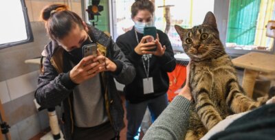 Tierische Filmstars werben für freiwilliges Engagement - Katze Catalya ist Filmstar für einen Tag. Für das Freiwilligenzentrum der Caritas drehen die Studentinnen Julia Pieschel (links) und Melanie Junnig im Verein "Tiere in Not" einen Videoclip.