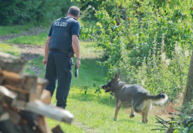 Tierischer Lebensretter: Hund findet vermisste Frau - Der Deutsche Schäferhund Hugo von der alten Schmiede der Chemnitzer Polizei hat am Dienstag einer Frau das Leben gerettet. (Symbolbild)
