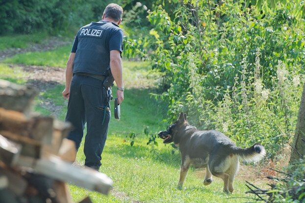 Tierischer Lebensretter: Hund findet vermisste Frau - Der Deutsche Schäferhund Hugo von der alten Schmiede der Chemnitzer Polizei hat am Dienstag einer Frau das Leben gerettet. (Symbolbild)