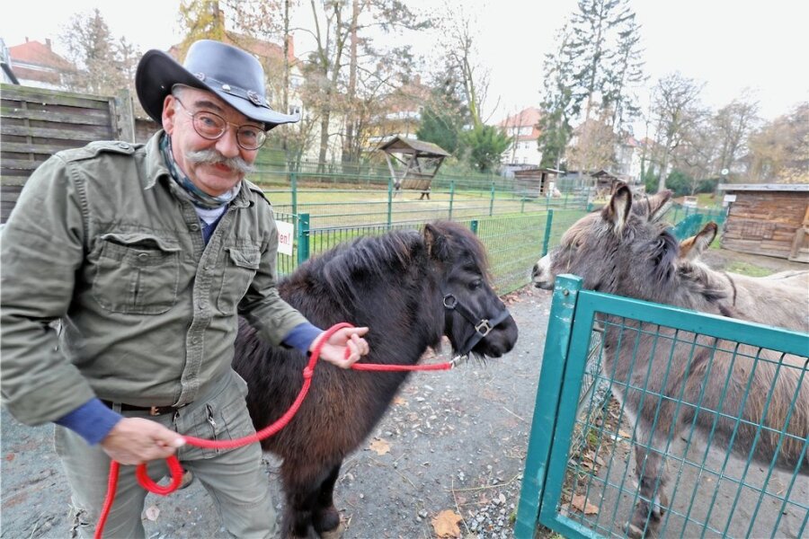 Tierpark Freiberg soll Zuwachs erhalten - Tierparkdirektor Peter Heinrich - hier mit Pony Idefix und den Eseln Christoph und Ella - freut sich darauf, dass im kommenden Jahr die Alpakas nun endlich nach Freiberg kommen sollen. Foto: Wieland Josch